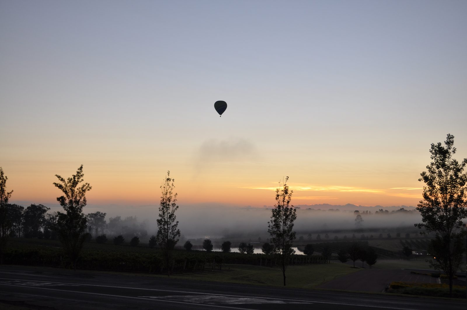 Hot air balloon over the Hunter Valley vineyards at sunrise